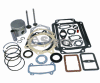 Stens 785-384 Overhaul Kit For Kohler 10 HP .010 Oversize